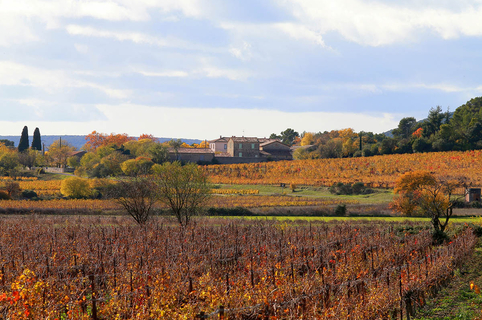 Château La Salade Saint Henri est un domaine viticole qui produit des vins Pic Saint Loup en rouge et rosé sur la commune de Saint Mathieu de Tréviers.(® SAAM-fabrice Chort)