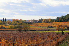 Château La Salade Saint Henri propose des cuvées de vins sur le terroir AOC pic Saint Loup (® SAAM-fabrice Chort)