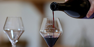 Le Domaine des Conquêtes à Aniane produit des vins vins IGP Saint Guilhem le Désert en blanc, rosé et rouge de manière respectueuse de l'environnement.(®SAAM fabrice CHORT)