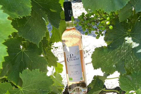 Domaine du Petit Chaumont • Le gris de Nathalie 2024 • gris de gris • vin des sables bio (®petit chaumont)