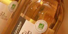 Label Bio du vin des sables du Domaine du Petit Chaumont d'Aigues Mortes (crédits photos: NetWorld-Fabrice Chort)