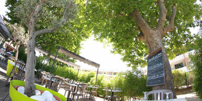 Terrasse du restaurant Le Delphis de Lattes (crédits photos: networld-fabrice Chort)