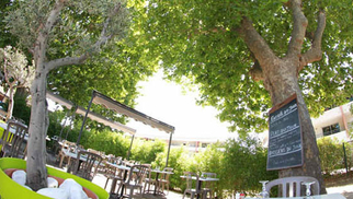 Terrasse du restaurant Le Delphis de Lattes (crédits photos: networld-fabrice Chort)