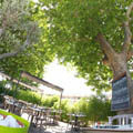 Terrasse du restaurant Le Delphis de Lattes (crédits photos: networld-fabrice Chort) Terrasse du restaurant Le Delphis de Lattes (crédits photos: networld-fabrice Chort)