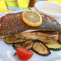 Le Bazar Montpellier restaurant propose la recette des filets de Daurade à la plancha (® networld-fabrice Chort) Le Bazar Montpellier restaurant propose la recette des filets de Daurade à la plancha (® networld-fabrice Chort)