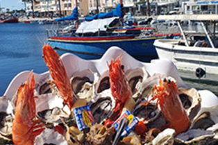 Bistrot del Mar Mèze • restaurant cuisine faite maison • poissons sauvages, coquillages et fruits de mer • Plateau du mareyeur (® bistrot del mar)