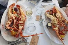 Bistrot del Mar Mèze • Restaurant poissons, coquillages et crustacés • Langouste rouge de Méditerranée (® bistrot del mar)
