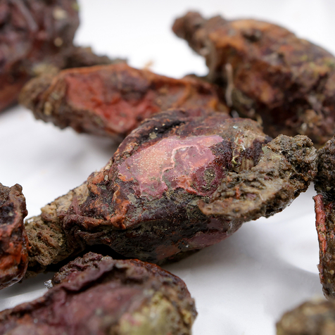 Dégustation d'huîtres et de fruit de mer à emporter à Bouzigues - Huîtres Sanchez Loupian