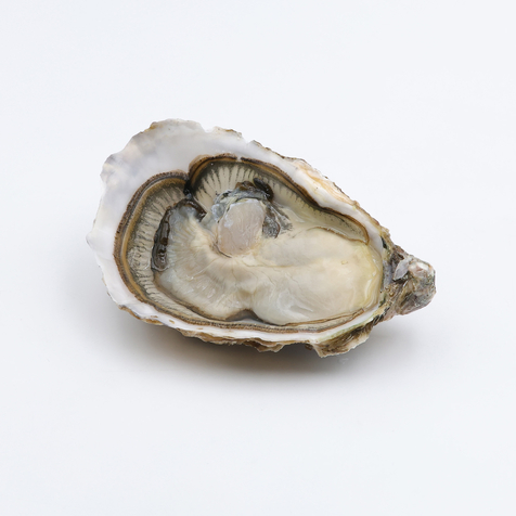 Huîtres bio de Méditerranée - Bouzigues