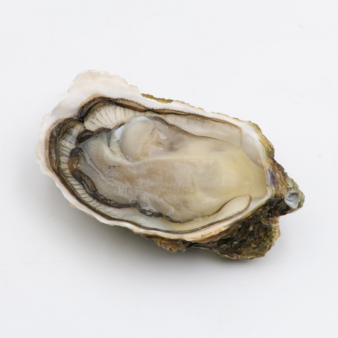 Huîtres bio de Méditerranée - Bouzigues