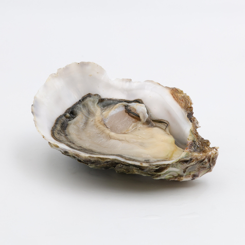 Huîtres bio de Méditerranée - Bouzigues