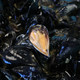 Vente sur place de coquillages et de fruits de mer- Bouzigues  