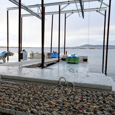 Visites guidées sur le bassin de Thau - Huîtres Sanchez Loupian