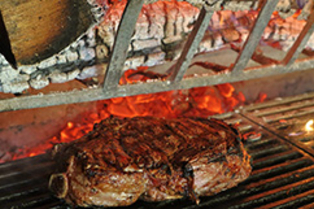 L'Effet Jardin à Lattes, un restaurant de cuisine fait maison avec grillades au feu de bois près de Montpellier et un jardin magnifique ( ® SAAM-fabrice CHORT)