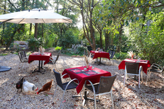La Maison Rouge Montpellier installe des tables dans un parc arboré magnifique (® SAAM- fabrice CHORT)