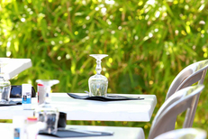 Le Delphis Lattes et sa belle terrasse de restaurant ombragée (® networld-fabrice Chort)