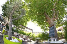 Le Delphis Lattes restaurant présente une grande terrasse sous les arbres (® networld-fabrice Chort)