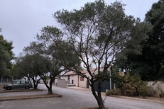 Restaurant Les Jardins de la Castelle Montpellier (® les jardins de la Castelle)