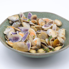 Tellines - Coquillages et crustacés - Poissonnerie les poissons d'abord Montpellier