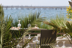 Restaurant Rives de Thau Bouzigues au bord de l’Etang de Thau qui propose Poissons, coquillages et cuisine aveyronnaise (® SAAM fabrice CHORT)